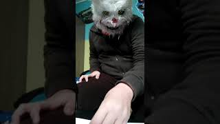 mr bunny parody mr noseybonk