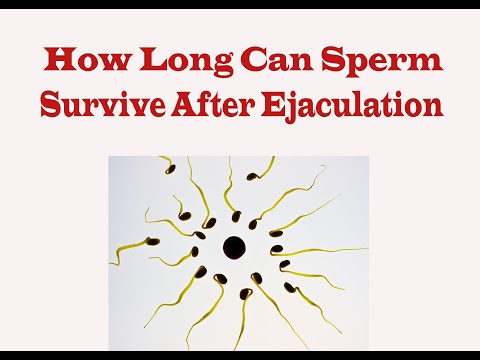How long can Sperm Survive After Ejaculation