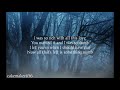 Robin Hood- Ansora Seabra (Lyrics)
