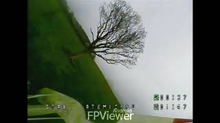 The Great Gapping Tree Gappage
