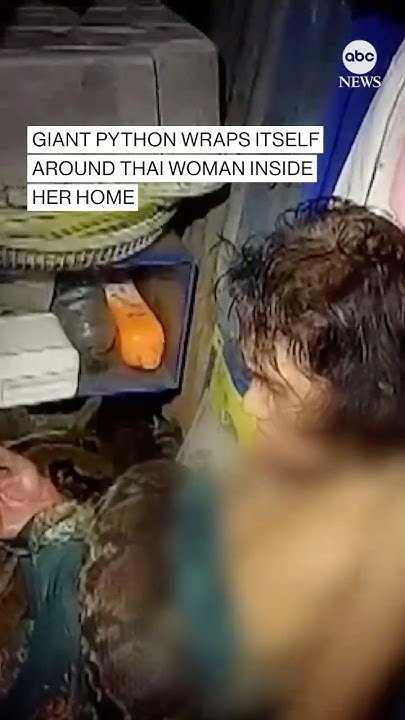 Giant python wraps itself around Thai woman inside her home - YouTube