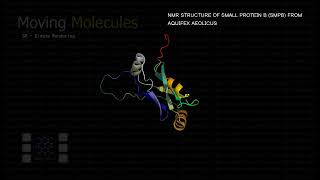 Moving Molecules ･ NMR STRUCTURE OF SMALL PROTEIN B (SMPB) FROM AQUIFEX AEOLICUS