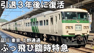 【完全乗車記】185系 特急あしかが大藤まつり号