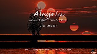 Alegria: This is the life