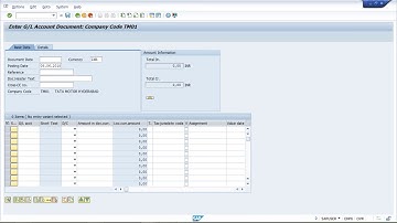 SAP FICO Issues - Document Type not appearing