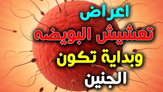 ما الفرق بين دم الغرس ودم الحيض؟