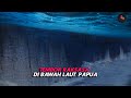 Misteri tembok raksasa di bawah laut papua sepanjang 110 km