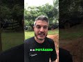 REALMENTE COMO JOGAM ISTO NO LIXO?