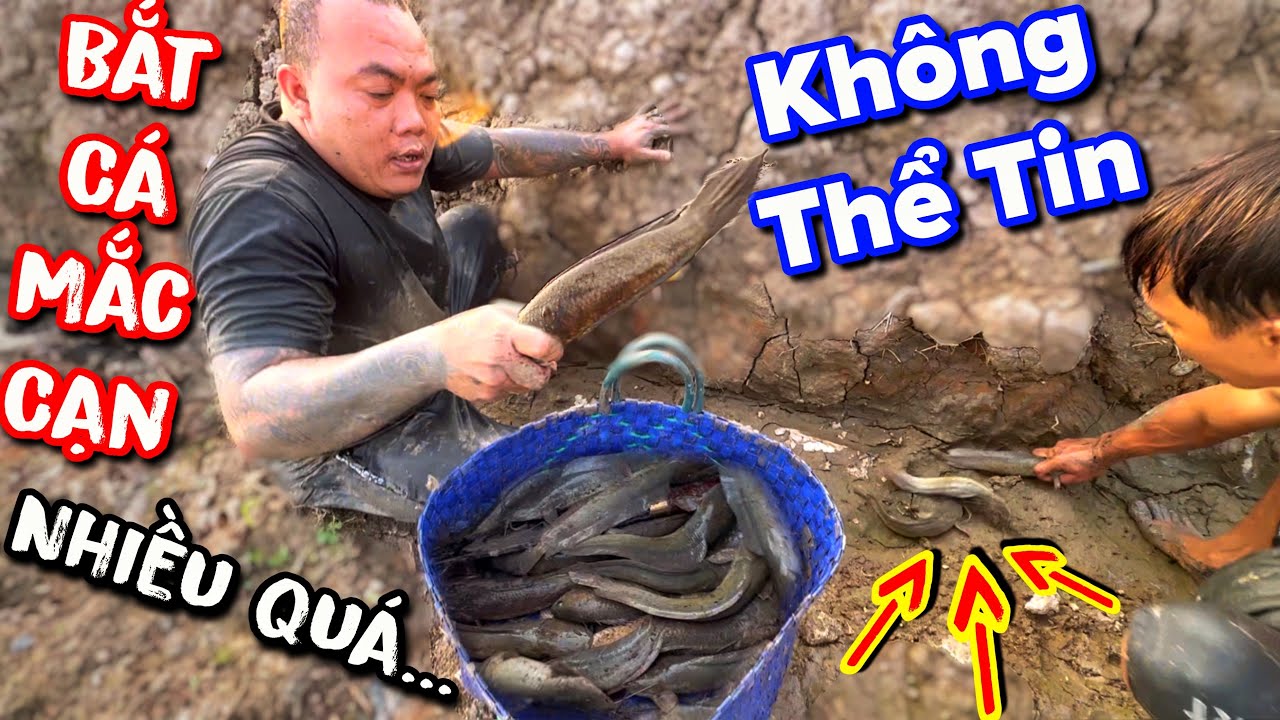 Thánh Xàm đi bắt cá cạn nhưng không tin được là bắt được nhiều cá đến vậy ai nhìn cũng phải mê