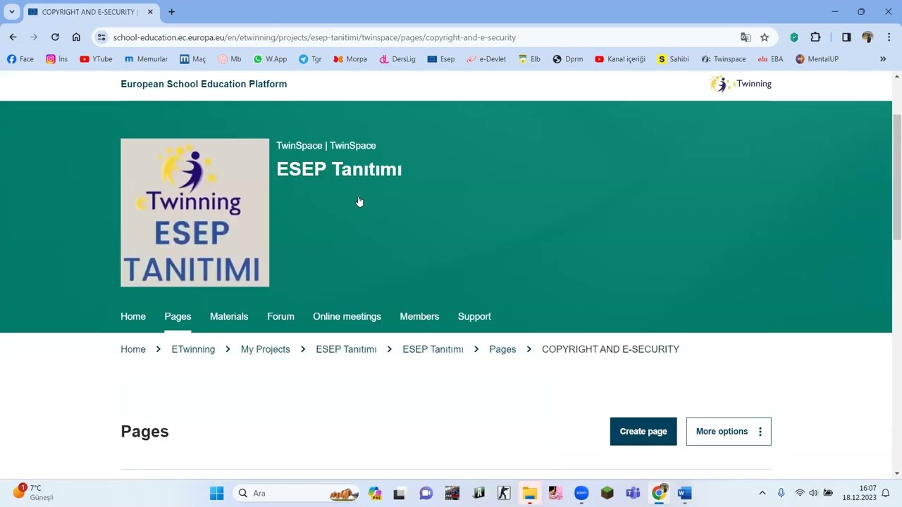 eTwinning Projelerinde Sayfalar Nasıl Oluşturulur? Sayfalara Neler Yazılabilir?
