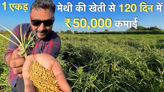 Low Investment hight profit Methi Farming India मेथी की खेती fenugreek      at home