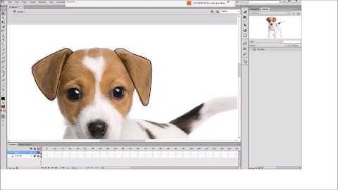 Tracing in Adobe Flash for beginners full video (CS6)