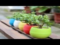 Plastic Pots for Plants Cuttings Seedlings 4 Inch Standard Size 20 Pack Plastic Pots for Plants Cuttings Seedlings 4 Inch Standard Size 20 Pack