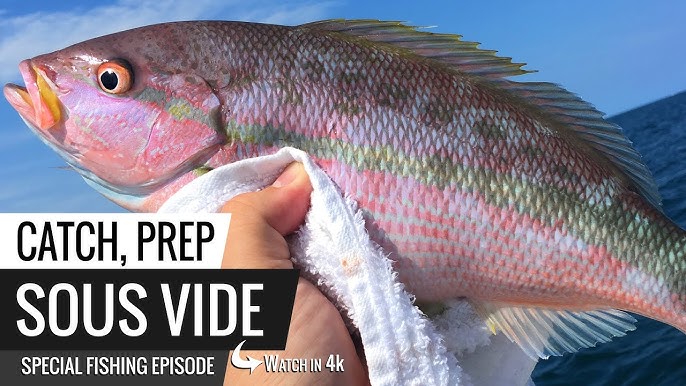 Whole Fish Sous Vide Red Snapper - Super Tasty & Easy Recipe • Eat