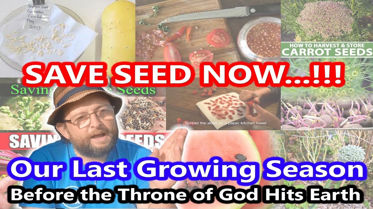 "SAVE SEEDS NOW..!!!" -LAST SEASON. - Extinction Level Event 22 weeks.