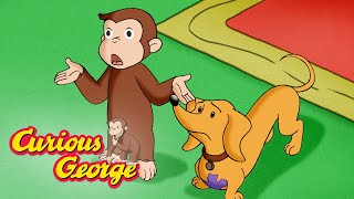 The Wrong Dog 🐵 Curious George 🐵Kids Cartoon 🐵 Kids Movies 🐵Videos for Kids