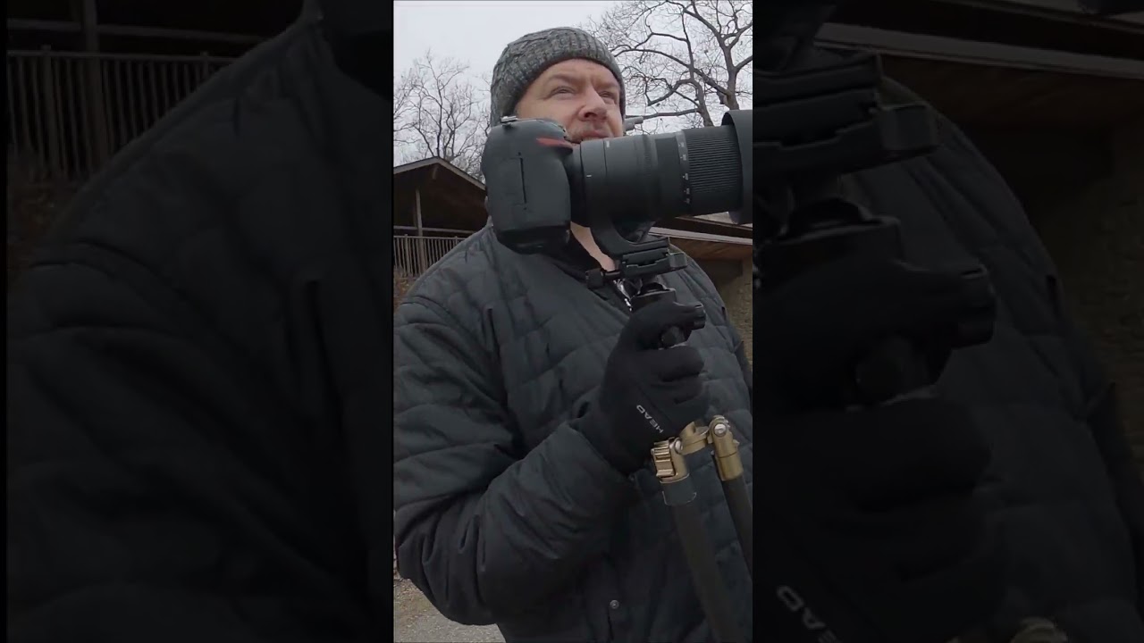 Are you a bird watcher? - A trip to the bird sanctuary