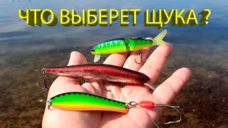видео: 🔥 ВОБЛЕР или БЛЕСНА (часть 1)? Что выберет щука в августе? А щука с утра съела Профессора... 🔥 картинка: 🔥 ВОБЛЕР или БЛЕСНА (часть 1)? Что выберет щука в августе? А щука с утра съела Профессора... 🔥