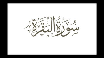 تلاوة مميزة لسورة البقرة للقارئ محمود المالكي