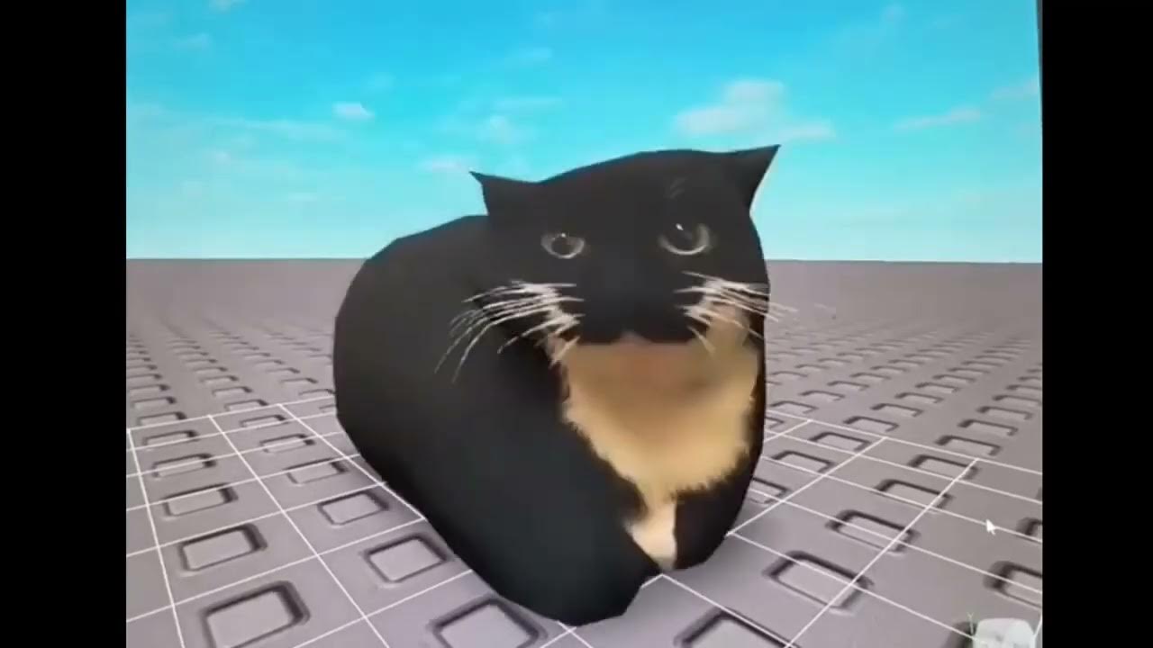 кот максвелл фото