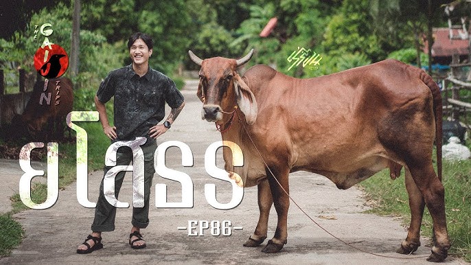 The Gaijin Trips แบกเป้เที่ยวคนเดียว EP88 นครนายก - YouTube