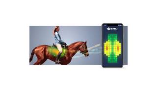 EHO introduces smart saddle pad, which uses smart textile to obtain saddle and rider pressure data