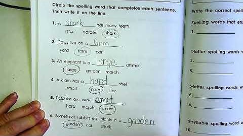 Benchmark Unit 3, Week 2, Spelling