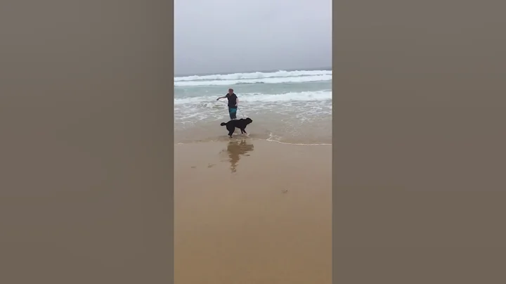 Phillip chalker  playing with His Seeingh Eye dog ...