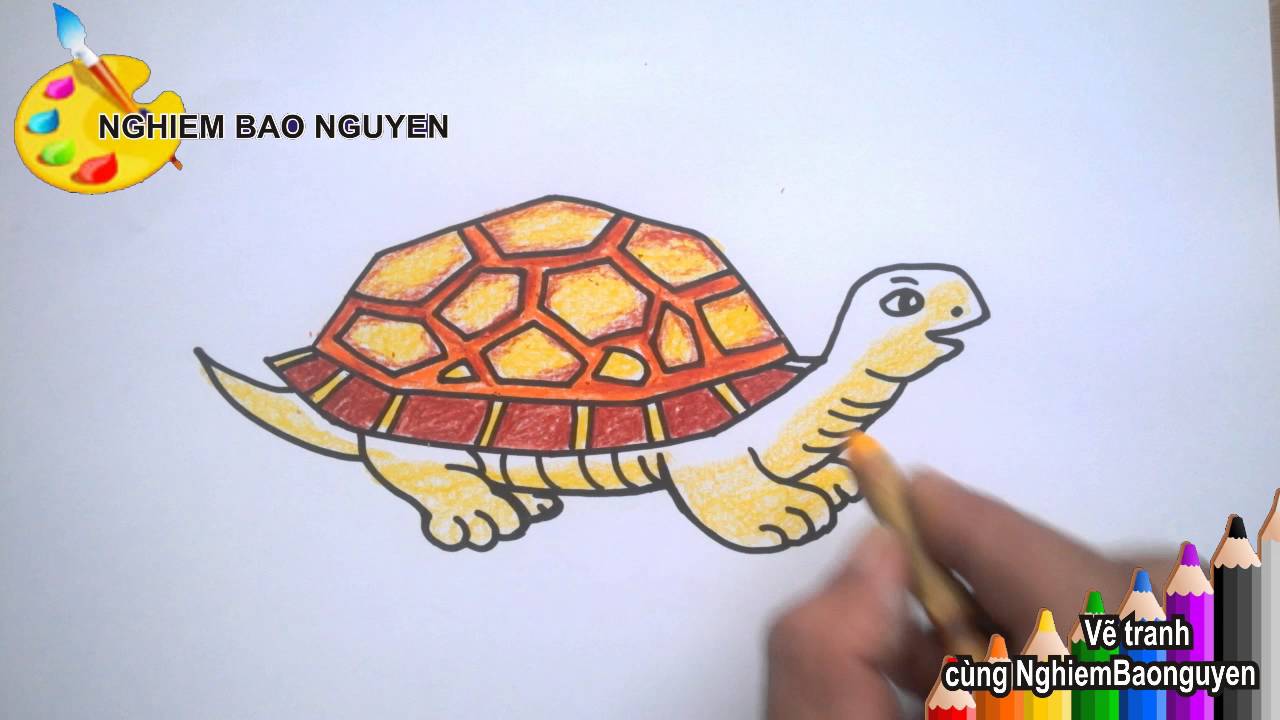 Vẽ Con Rùa/How To Draw Turtle - Youtube