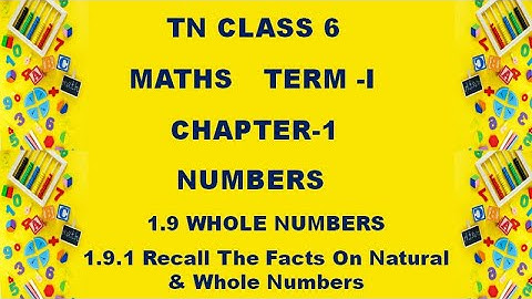 Class 6 Maths Chapter 1 | 1.9 Whole Numbers  | 1.9.1 Recall The Facts On Natural & Whole Numbers