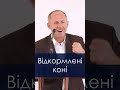 Відкормлені коні - Іван Пендлишак, short
