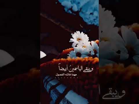 ويبقى الياسمين أبيضا مهما خانته الفصول