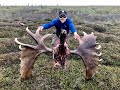 SHED HUNT ALASKA - Spring 2019