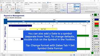 Symbol Text And Symbol Notes - Milestones Professional