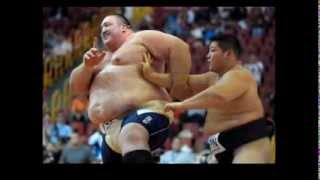 fat sportsmen V