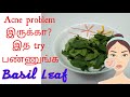 Basil Leaf Face Pack | தமிழ் | Tulsi | ThiruneetruPachilai | Get Rid Of ANCE | Acne &amp; Pimple Removal