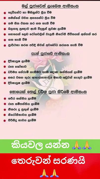 කියල යන්න හරි පිනක් තියෙන්න ඕන 🙏🙏 #shortsfeed #lordbuddha #shortsviral #buddhansh #shortvideos