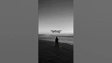 طارق الشيخ حاليا بالاسواق 