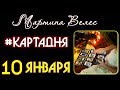 10  ЯНВАРЯ карта дня от Мартины Велес