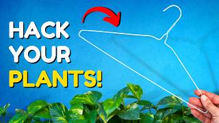 This Plant Hack Is Epic!