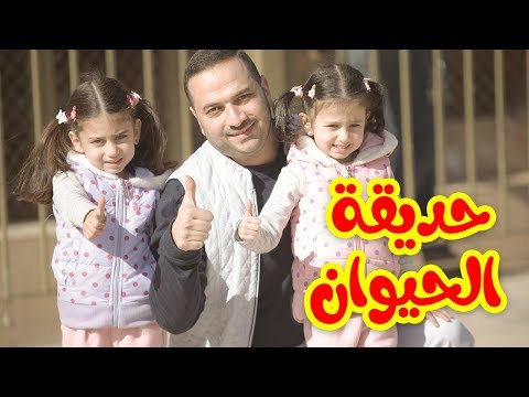 فيديو: حديقة أحلامي