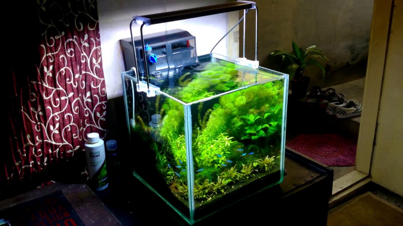 sunsun led light growth