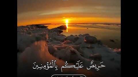 ( لقد جاءكم رسول من انفسكم ) من سورة التوبة/ القارئ خالد الجليل