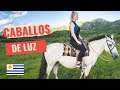 Caballos de Luz | Staying at an estancia in Uruguay