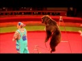 Bear at Circus- Astana Kazakhstan- June 5th 2011