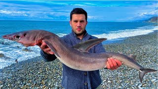 20kg SHARK FISH RECIPE | SAFEST FISH RECIPE | English subtitles