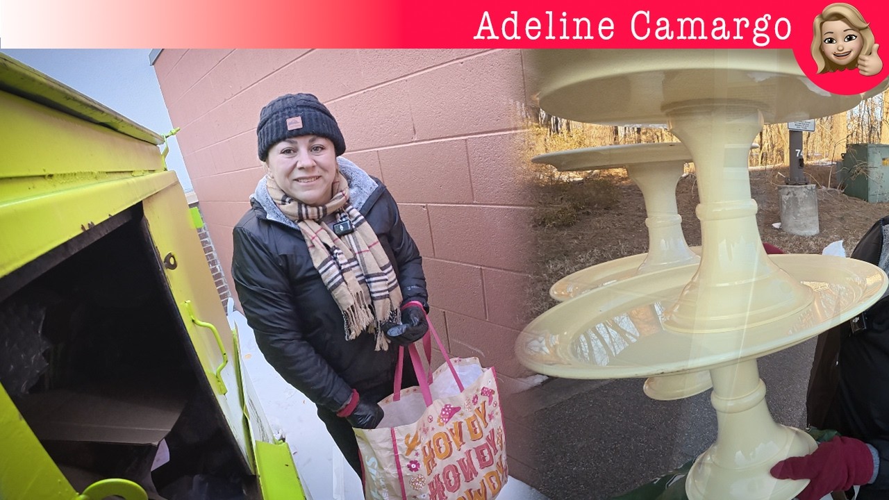 Dumpster com frio intenso sensação de -12, achado de móveis e decoração @AdelineCamargo