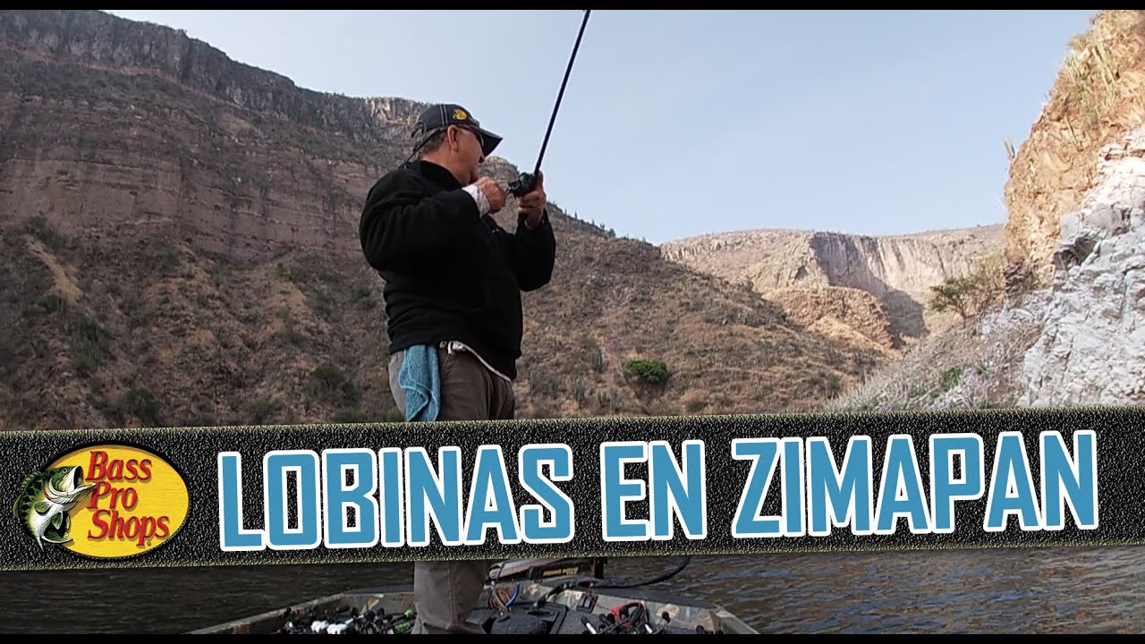 Nos fuimos detrás de las lobinas golonas en la presa Zimapán!!