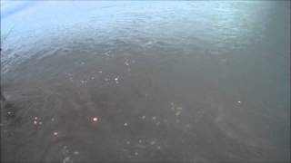 Kawai fishing the waimak mouth nz