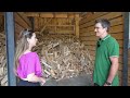 Waldspaziergang? „Bald nur noch mit der Machete!“  I krone.tv REPORTAGE